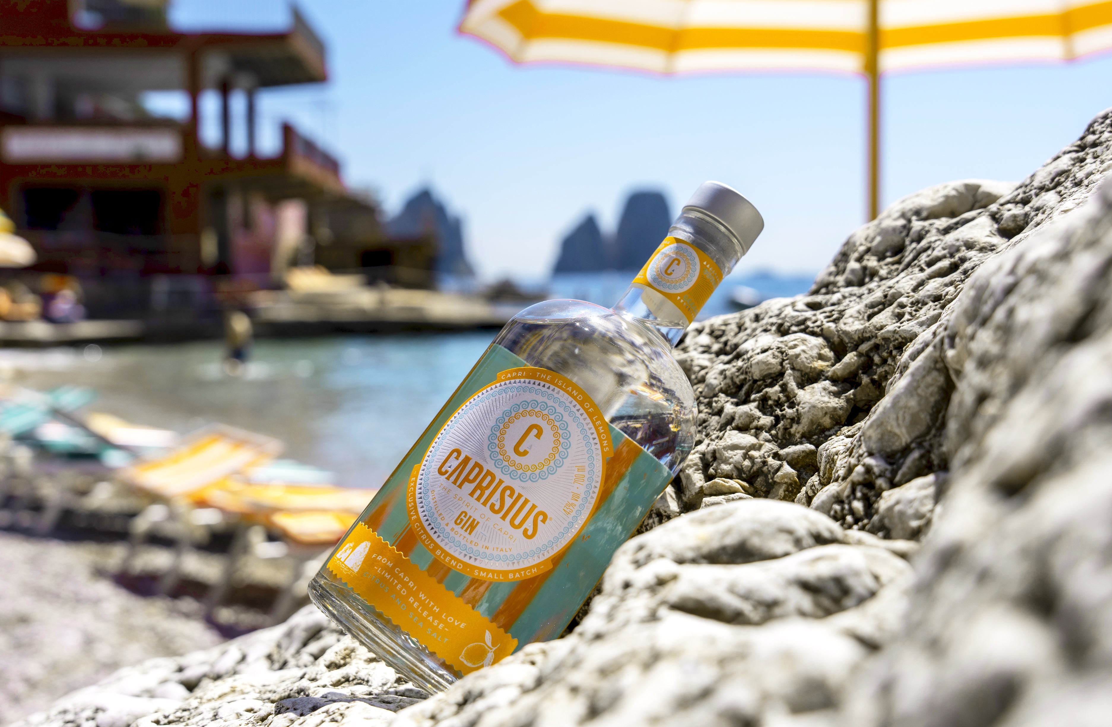 Caprisius gin citrus,Caprisius gin Citrus,Caprisius gin,gin artigianale italiano,gin ispirato a Capri,botaniche mediterranee,gin campano,gin ispirato ai Faraglioni di Capri, gin italiano,Limoni di Capri,Capri limoni,Capri agrumi,Agrumi di Capri,Profumi di Capri