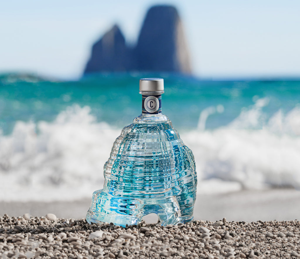 Caprisius gin special edition